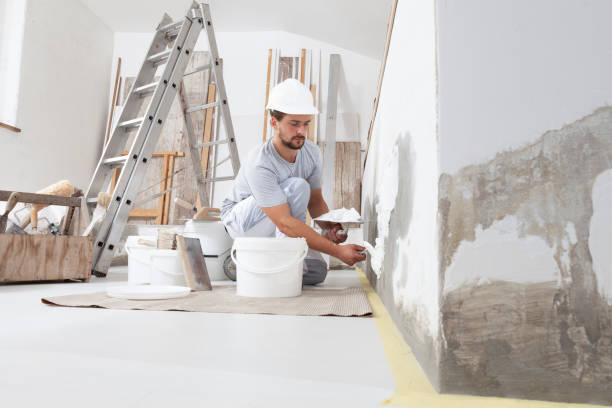 Best Drywall Installation  in Ocilla, GA